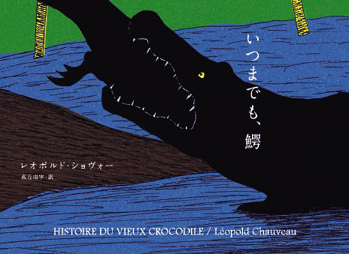 いつまでも、鰐