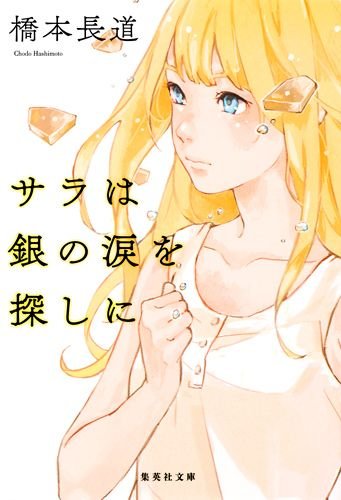 サラは銀の涙を探しに