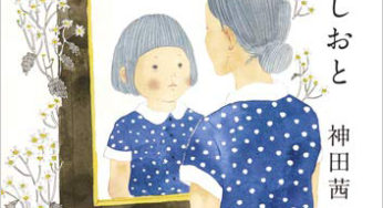 神田茜 すてきな装丁や装画の本屋 Bird Graphics Book Store