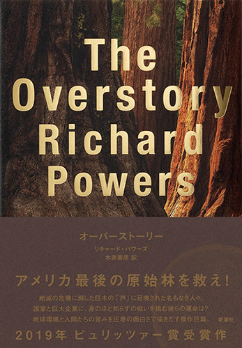 オーバーストーリー