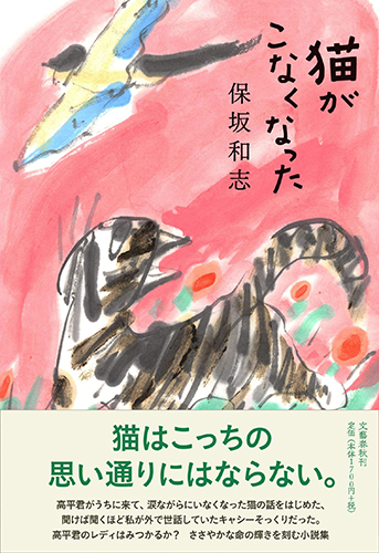 すけっちぶっく 第３号/桐書房/恵子美術館