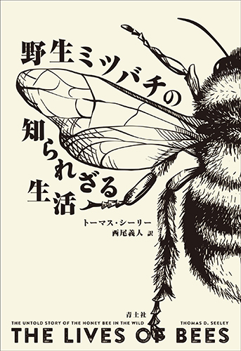 野生ミツバチの知られざる生活
