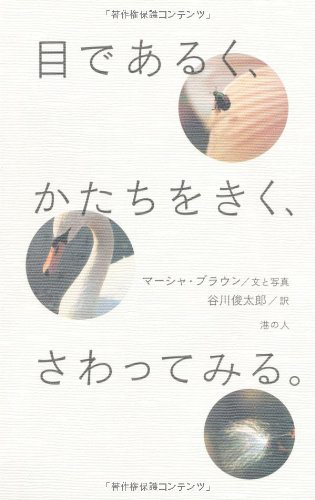 目であるく、かたちをきく、さわってみる。