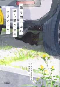 すてきな装丁や装画の本屋 Bird Graphics Book Store誰も知らない のら
