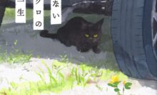 すてきな装丁や装画の本屋 Bird Graphics Book Store誰も知らない